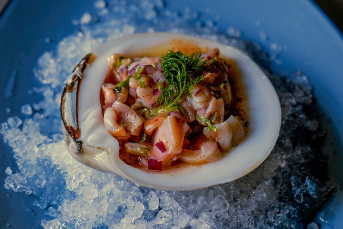 Ceviche servido en una concha sobre hielo