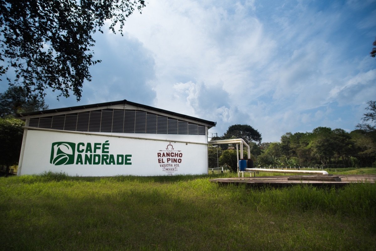 Beneficio de Café Andrade en Rancho El Pino